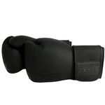 Перчатки боксерские BoyBo First Edition