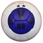Мяч футбольный BVB №5