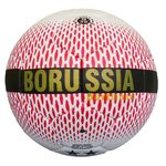 Мяч футбольный BVB №5