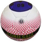 Мяч футбольный BVB №5