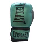 Перчатки боксерские Everlast, B-Met, натуральная кожа, Пакистан