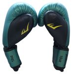 Перчатки боксерские Everlast, B-Met, натуральная кожа, Пакистан