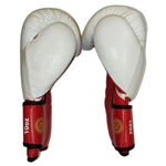 Перчатки боксерские Кыргызста́н Kyrgyzstan (натуральная кожа)