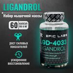 Epic Labs LIGANDROL LGD-4033 60 капсул