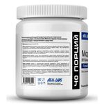 Hell Labs Modern BCAA 480 грамм