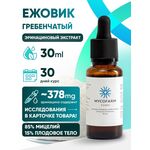 Жидкий экстракт Ежовика 30 мл
