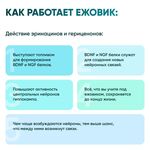 Жидкий экстракт Ежовика 30 мл