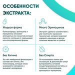 Жидкий экстракт Ежовика 30 мл