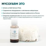 Жидкий экстракт Ежовика 30 мл