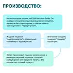 Мицелий Ежовика гребенчатого 120 капсул