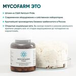 Мицелий Ежовика гребенчатого 120 капсул