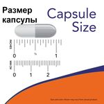 NOW Niacin 500 мг 100 веган капсул