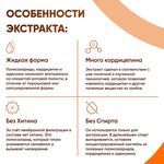 Жидкий экстракт Кордицепс 30 мл