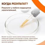 Жидкий экстракт Кордицепс 30 мл