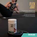 Maxler Flex Joint 360 грамм