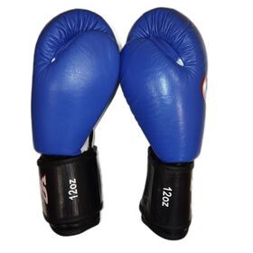 Перчатки боксерские Twins, синие, натуральная кожа, Пакистан