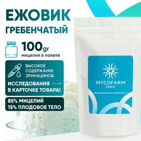 Мицелий Ежовика 100 грамм