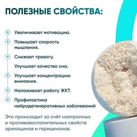 Мицелий Ежовика 100 грамм