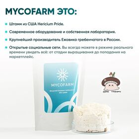 Мицелий Ежовика 100 грамм