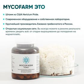 Мицелий Ежовика гребенчатого 120 капсул