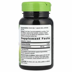 Nature's Way Niacinamide (витамин B3) 100 капсул