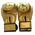 Перчатки боксерские HULK gold (детские, 3-10 лет) 6 Oz
