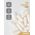 Maxler Zinc Picolinate plus Copper 60 веган капсул
