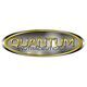 Quantum Quantum